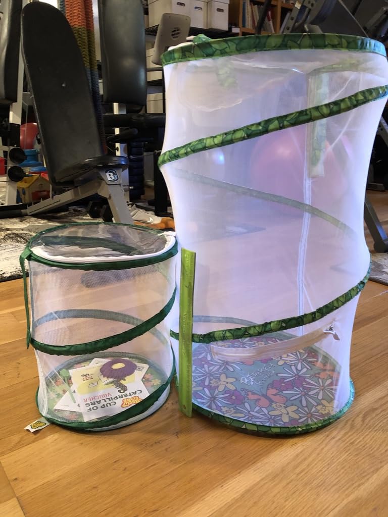 Insect Lore Raise and Release Butterfly Garden Kit - Caterpillar Habitat with redeemable Voucher - STEM-accredited Butterfly Growing Kit for Kids, Classrooms, and Homeschool Learning customer photo 1