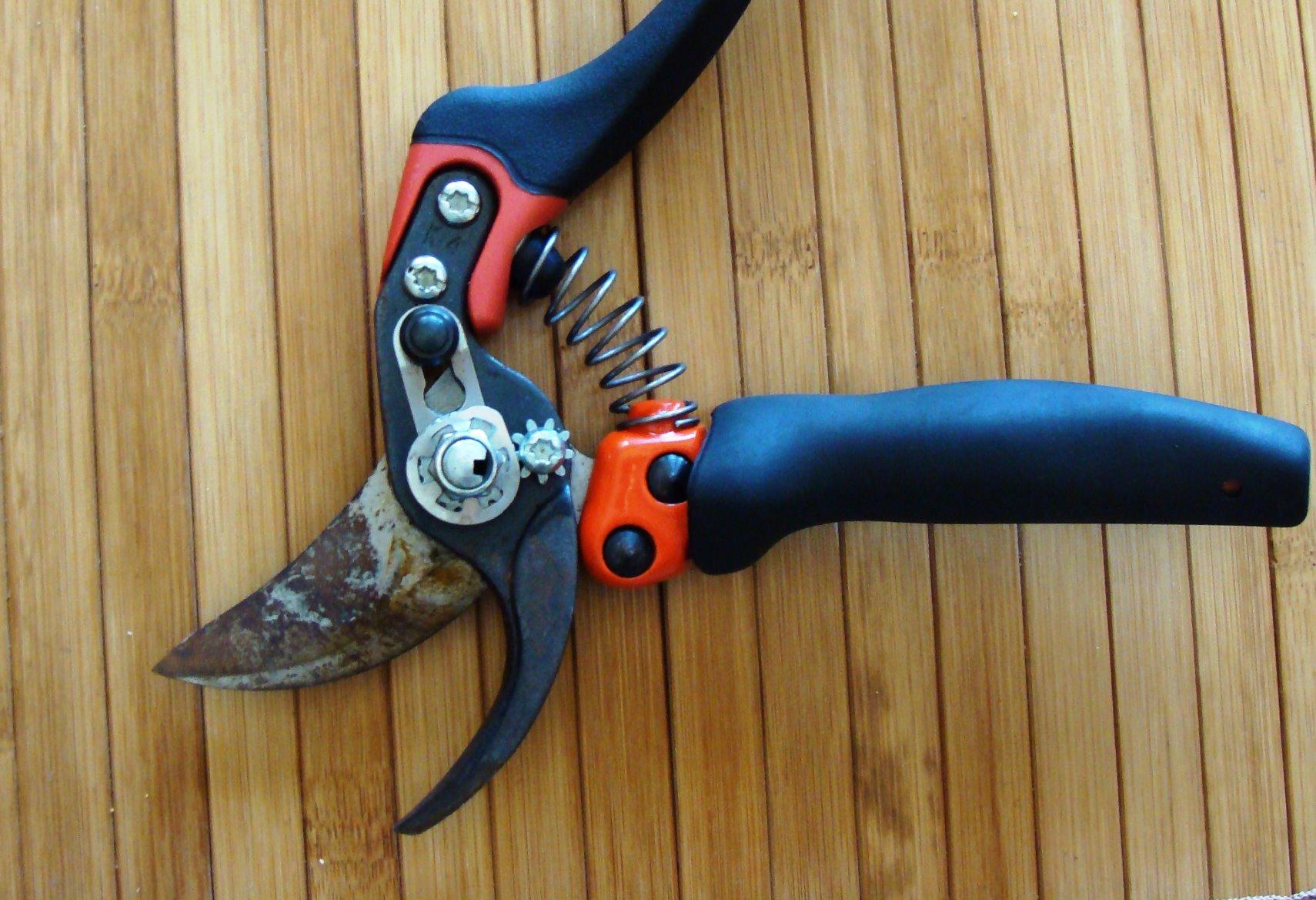 Bahco PXR-M2 Ergonomic Pruner with Rotating Medium Handle - Premium Bypass Secateurs customer photo 1