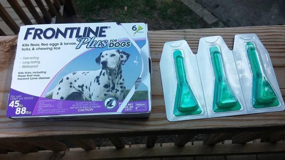 FRONTLINE Plus Flea and Tick Treatment for Large Dogs Up to 45 to 88 lbs. 3 Treatments customer photo 2