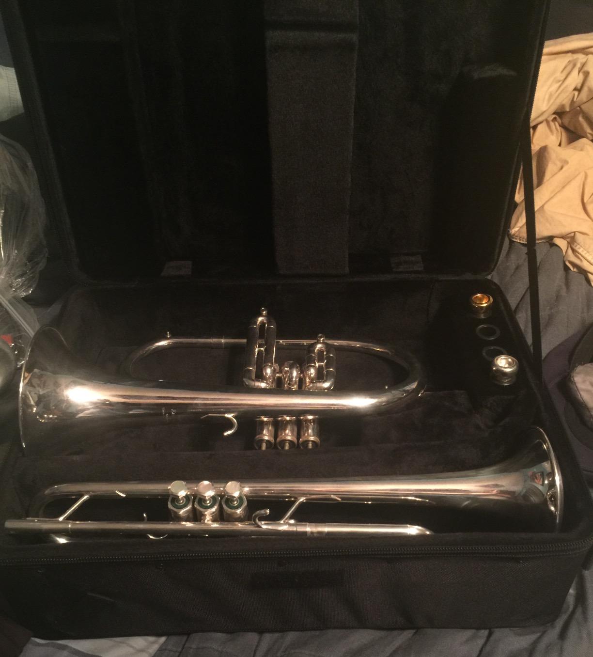 Protec Trumpet/Flugel Horn Combination PRO PAC Case, Model PB301F customer photo 1
