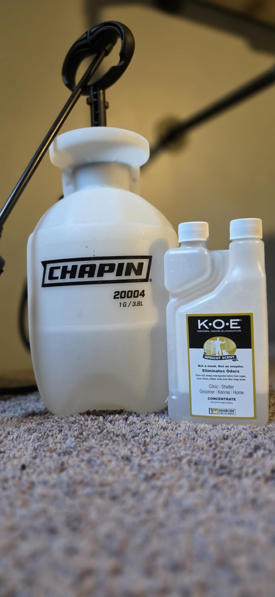 Chapin 20004 Pump Sprayer, 1-Gallon SureSpray Translucent Tank with Easy Fill Funnel-Top Opening, Adjustable Cone Nozzle & 34