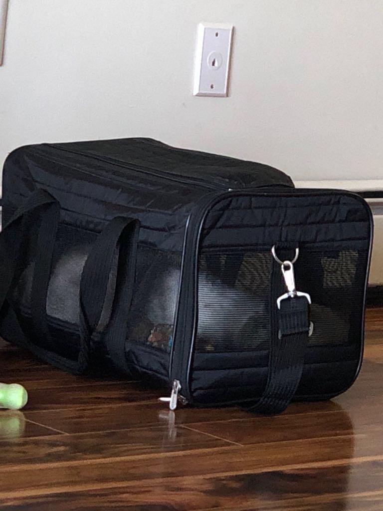 Sherpa Original Deluxe Travel Pet Carrier, Airline Approved & Guaranteed On Board - Black, Medium customer photo 2