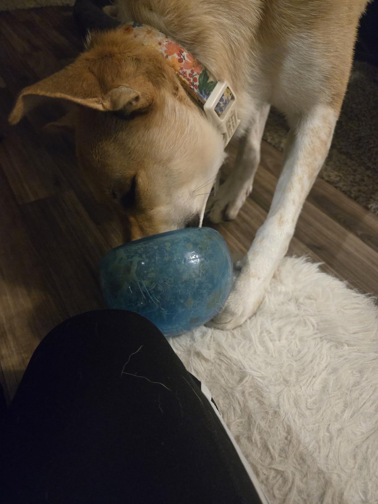 Outward Hound by Planet Dog Snoop Dog Toy - Treat-Dispenser Puzzle Ball, Interactive Slow Feeder, Medium to Large Dogs, Bouncy & Mint-Infused, Blue, 5