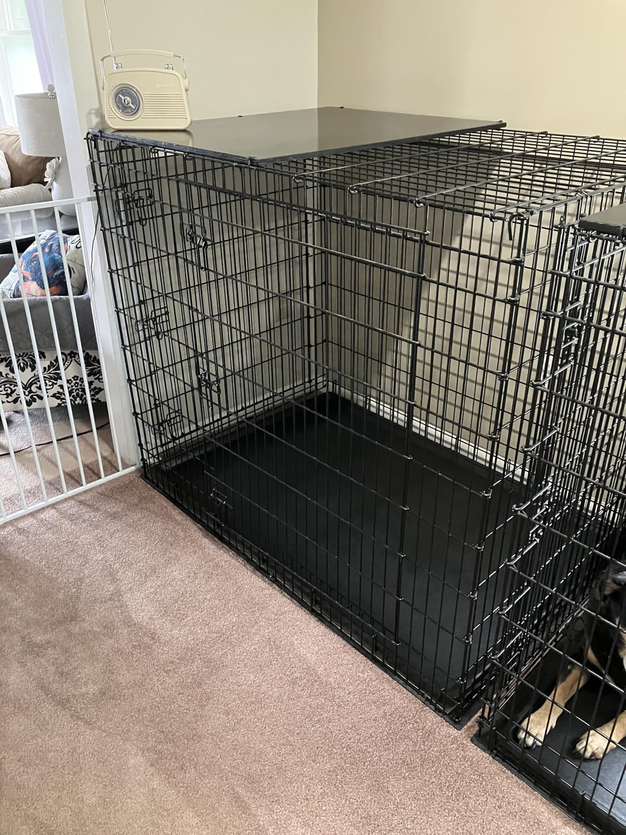 MidWest Homes for Pets 36-Inch iCrate for Medium-Large Breeds, 41-70 lbs, Double Door Folding Dog Crate with Divider Panel, Leak-Proof Tray & Secure Latches, Portable, Durable & Easy to Assemble customer photo 2