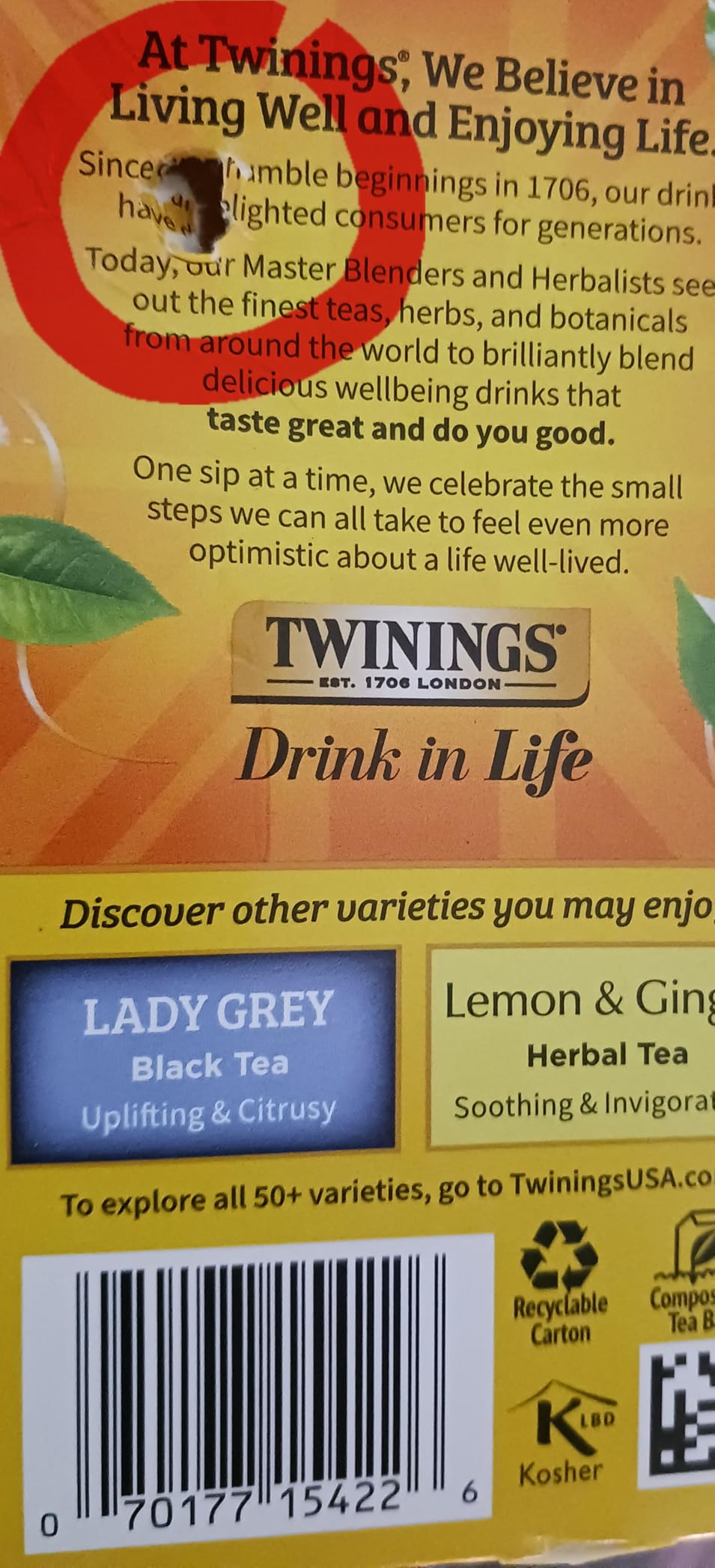 Twinings Earl Grey Black Tea Individually Wrapped Bags, 20 Count (Pack of 1), Flavoured with Citrus and Bergamot, Caffeinated, Enjoy Hot or Iced, 20 Teabags customer photo 1
