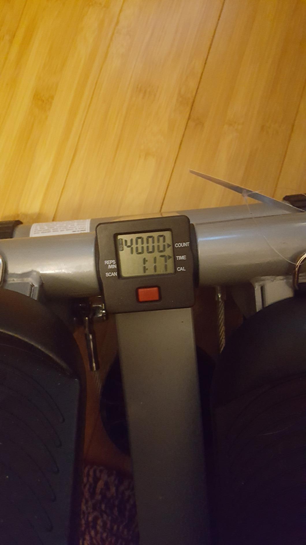 Sunny Health & Fitness Mini Steppers for Exercise at Home, Stair Step Workout Machine with Optional Resistance Bands, Full Body Cardio Equipment, Optional Free SunnyFit App Connection Smart Stepper customer photo 2