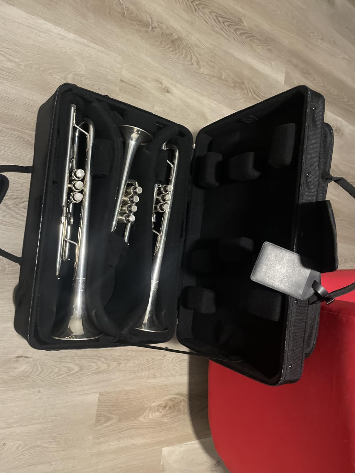 Protec IPAC Double Trumpet Case, Model IP301D customer photo 2
