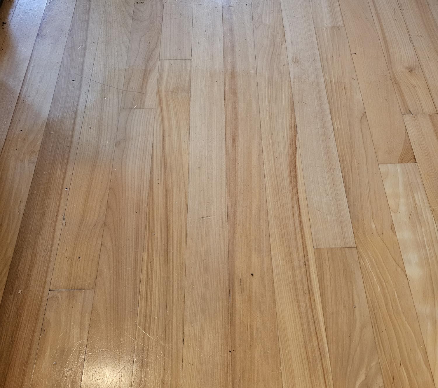 Rejuvenate All Floors Restorer Fills Scratches, Shines And Protects All Floor Types, Including Hardwood, Laminate, Vinyl And Tile, 32 Ounces customer photo 1