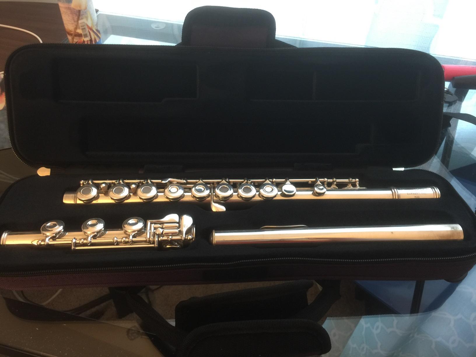 Protec MX308 Flute (B or C Foot) MAX Case - Black customer photo 1