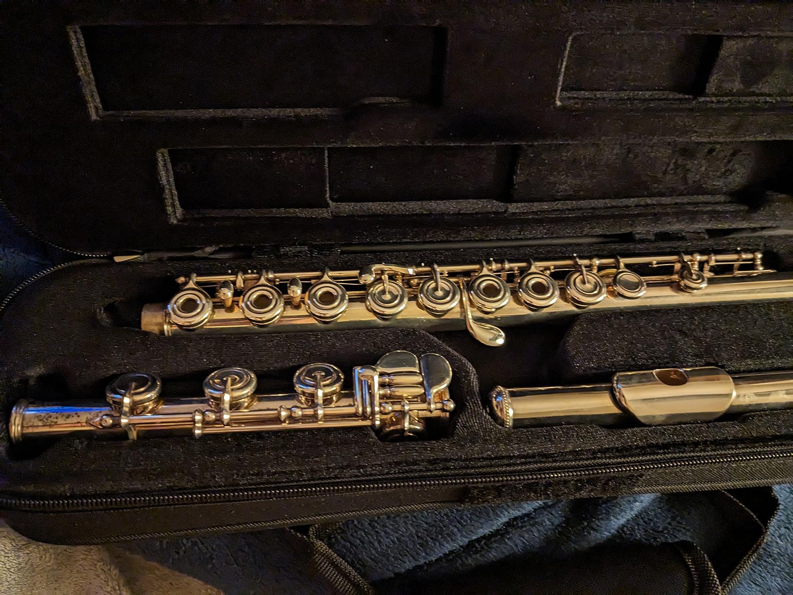 Protec MX308 Flute (B or C Foot) MAX Case - Black customer photo 2