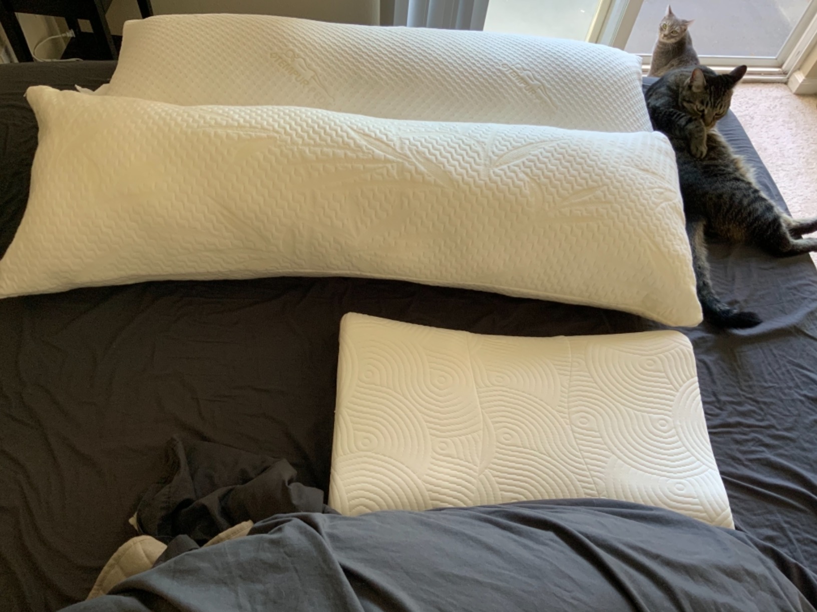 Tempur-Pedic TEMPUR-Body Pillow, Queen customer photo 2
