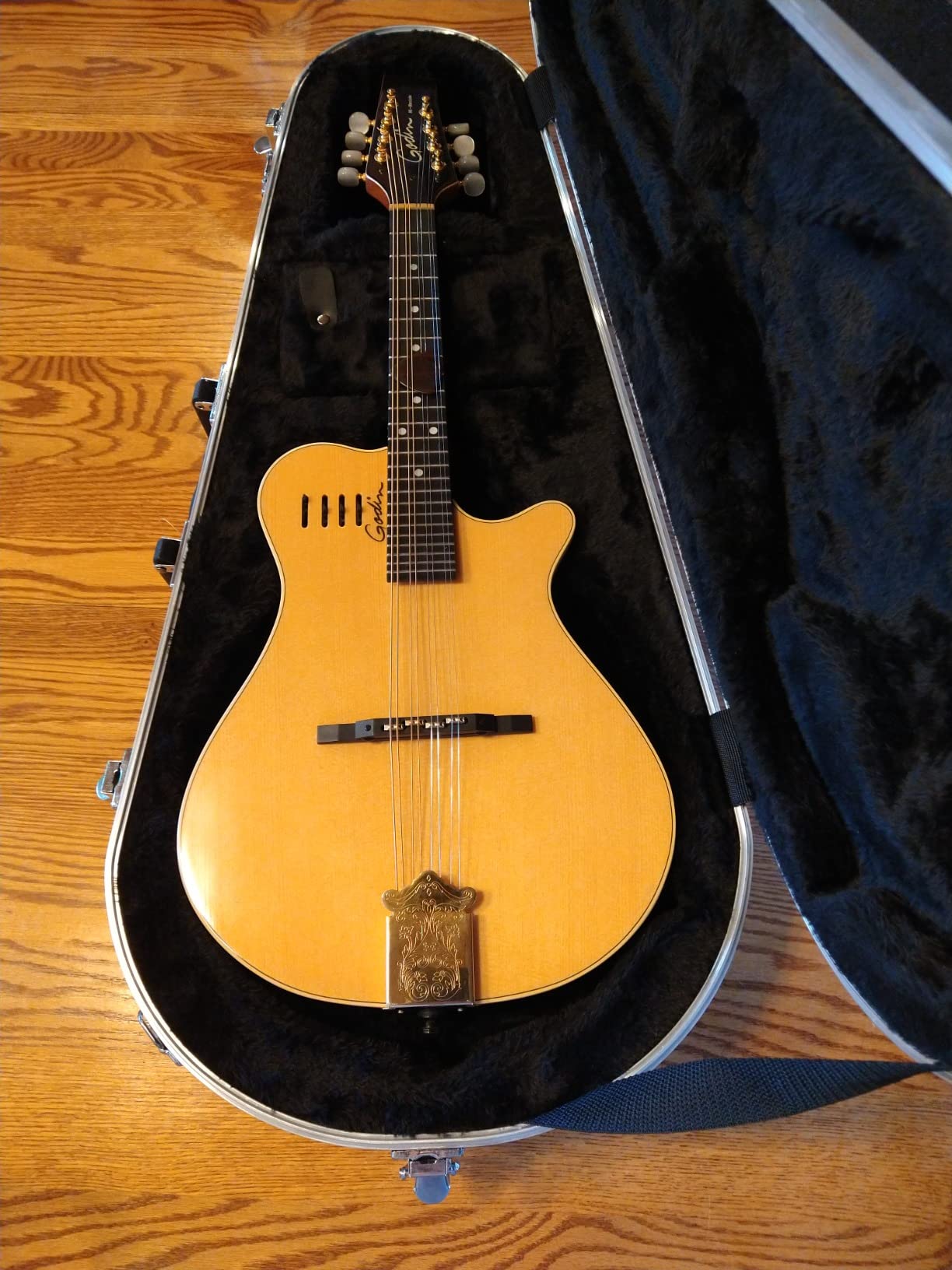 Gator Cases Deluxe ABS Molded Case for Mandolin's; Fits Both 'A' and 'F' Style Mandolin's (GC-MANDOLIN) customer photo 2