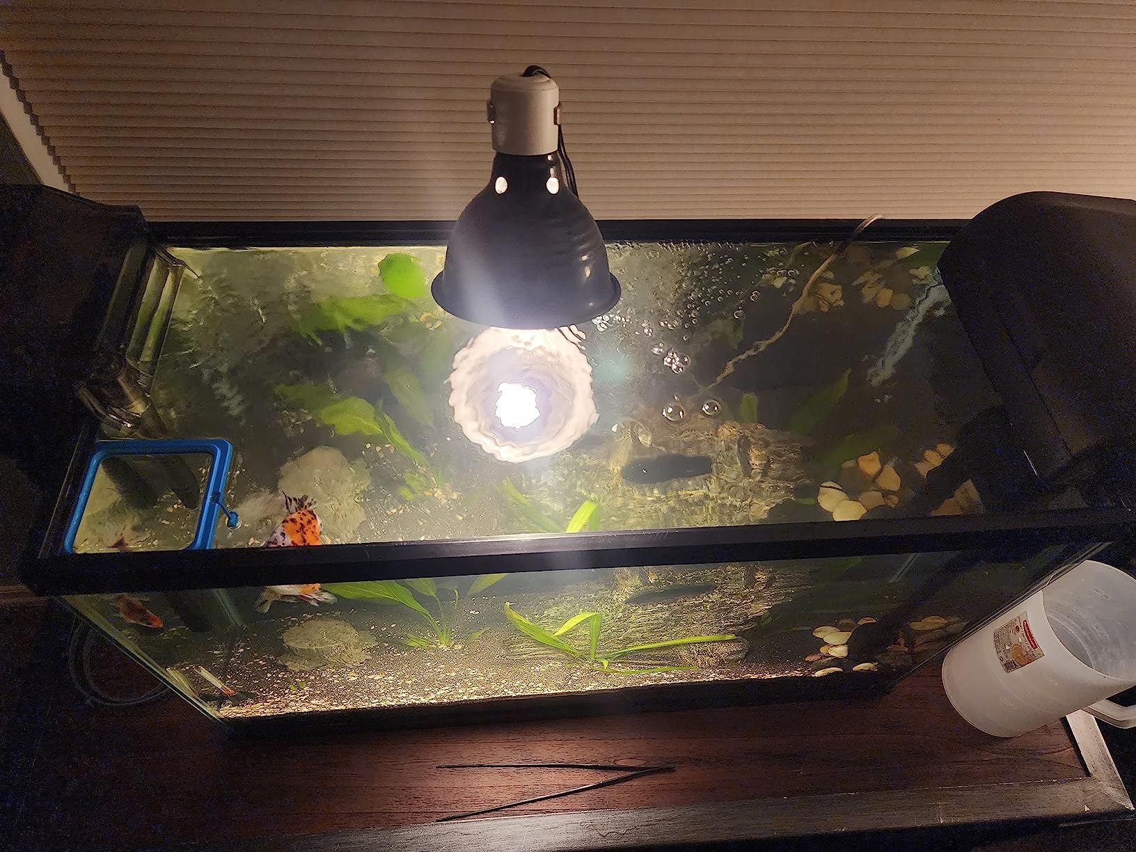Fluval C3 Power Filter, Fish Tank Filter for Aquariums up to 50 Gal. customer photo 1