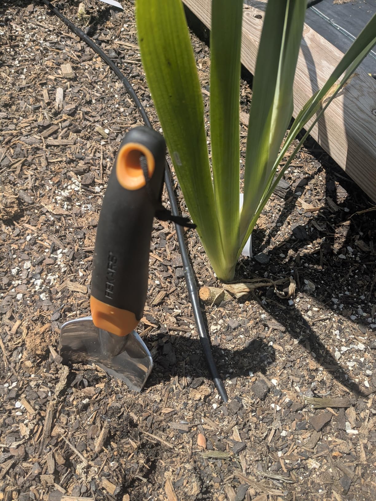 Fiskars Trowel, Heavy Duty Gardening Hand Tool with Hang Hole, For Digging and Planting, Rust Resistant Cast Aluminum, Ergonomic Handle and Comfort Grip, Gardening Tools for Yard customer photo 2