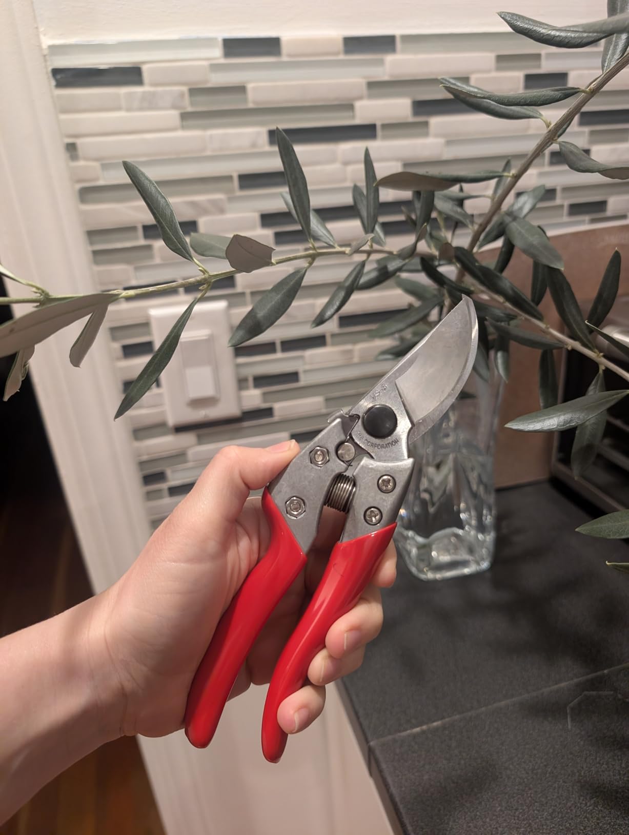 ARS HP-VS8Z Signature Heavy Duty Pruner - Professional Grade Hand Pruners customer photo 1