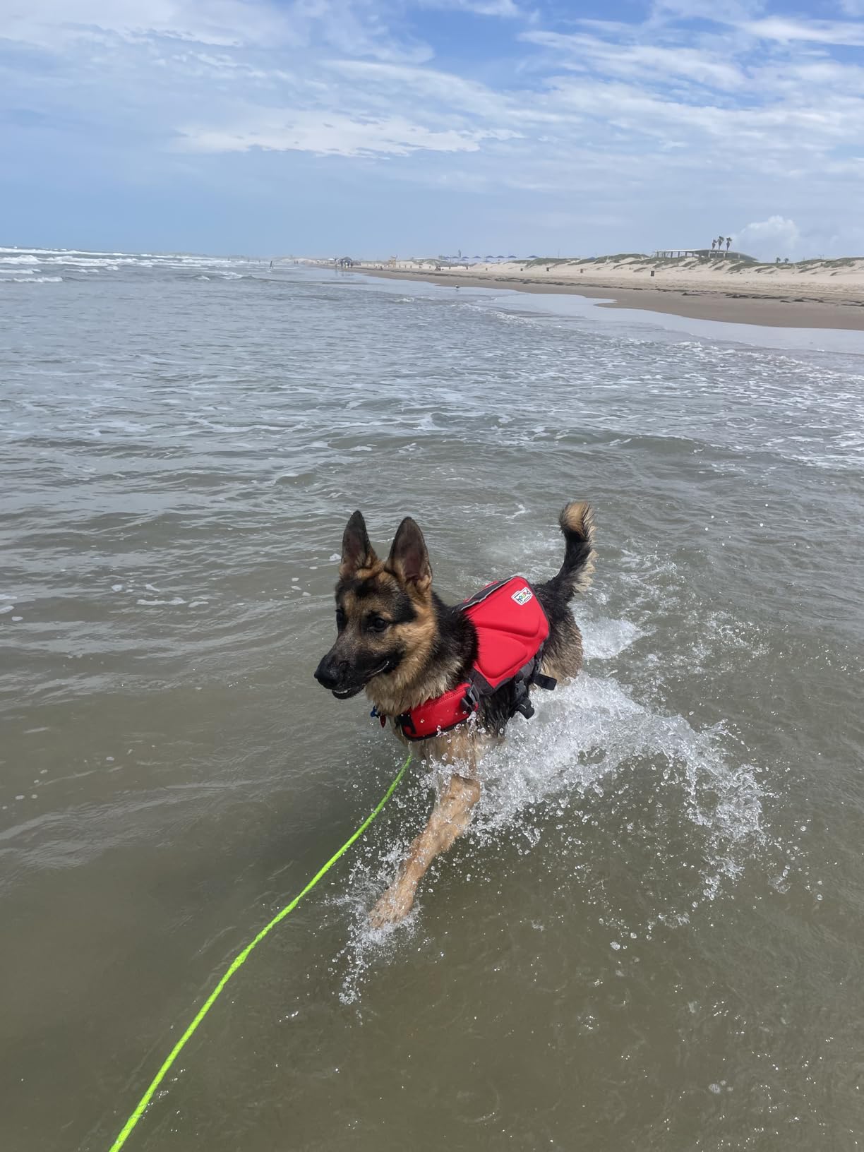 Outward Hound Granby Splash Orange Dog Life Jacket, Medium customer photo 2