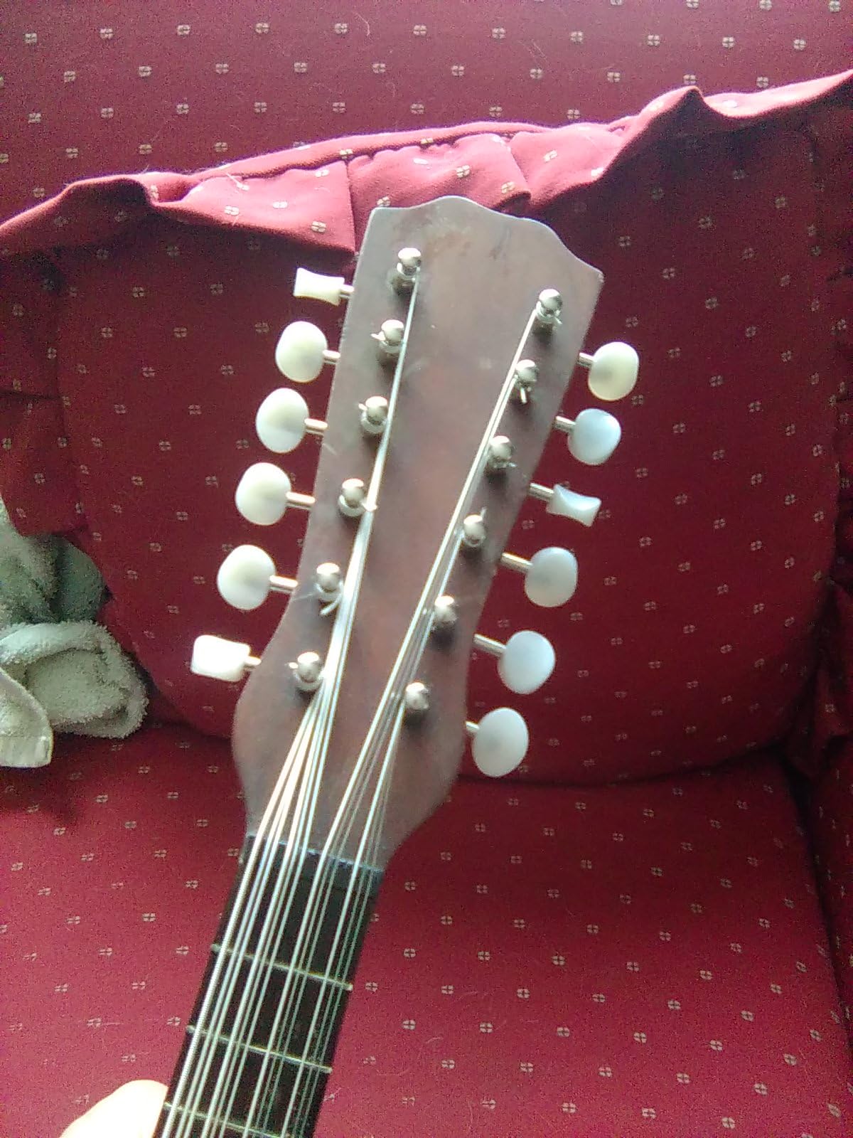 Golden Gate M-121 A-model Mandolin Tuners - 2 planks (4+4) - Nickel customer photo 1