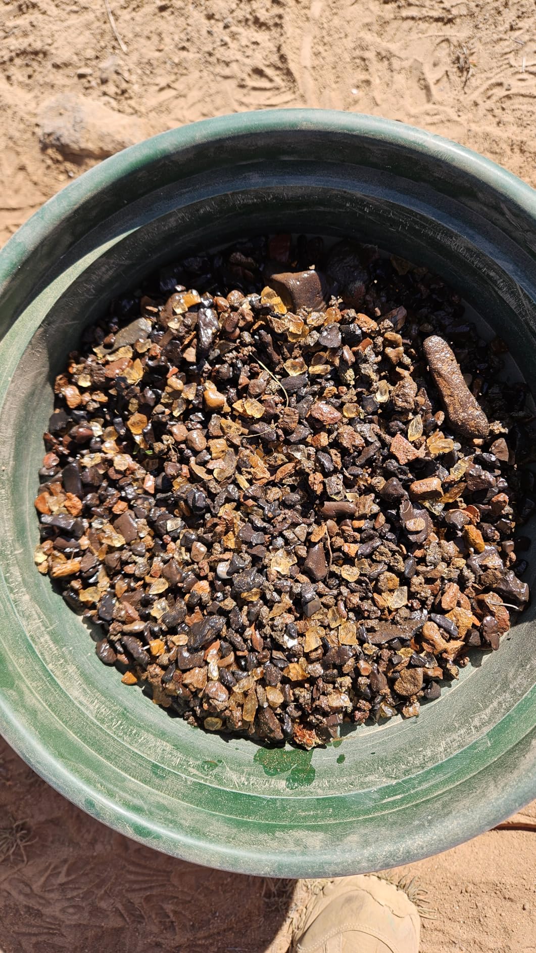 SE 13.25 Inch Wide Stackable Classifier Gold Prospecting Pan - 1/8 Inch Stainless Steel Mesh Sifting Pan, Green customer photo 1