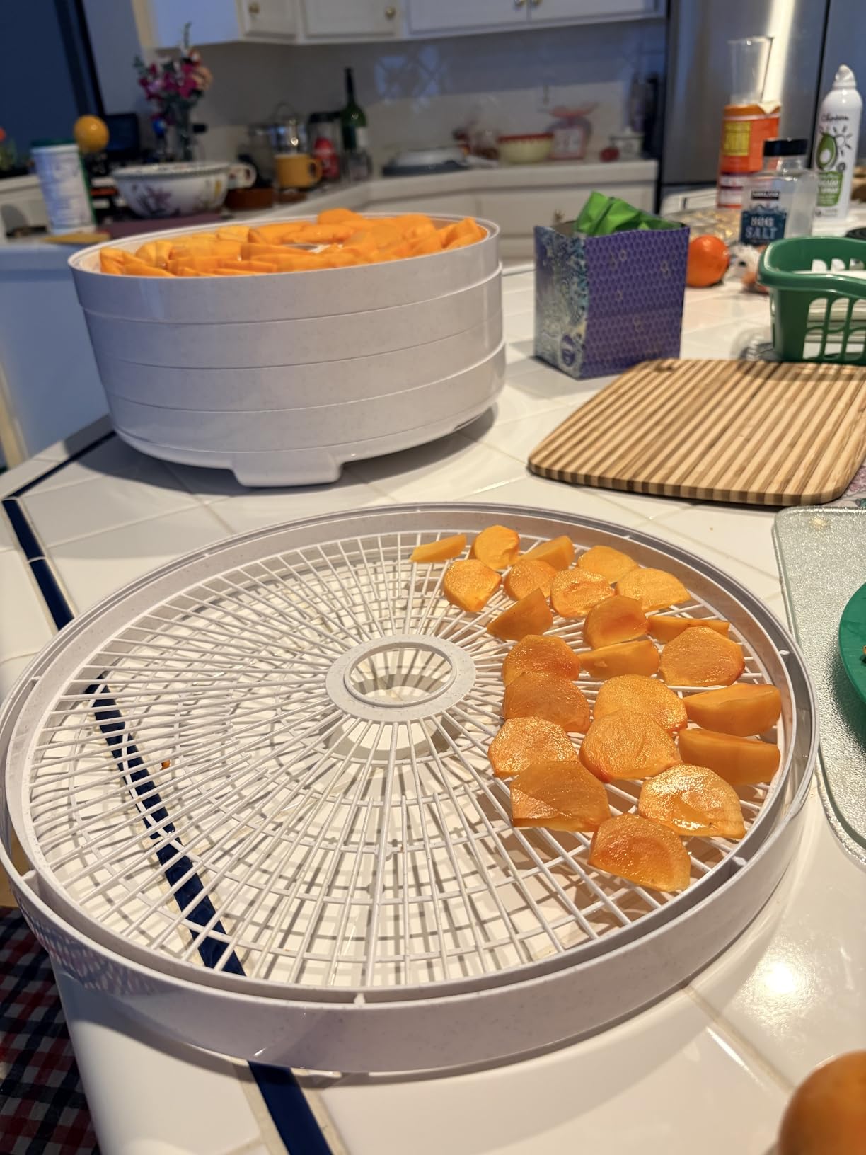 Nesco FD-75A Snackmaster Pro Food Dehydrator, For Snacks, Fruit, Beef Jerky, Gray customer photo 1