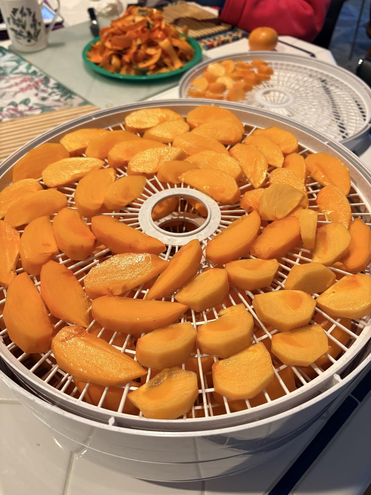 Nesco FD-75A Snackmaster Pro Food Dehydrator, For Snacks, Fruit, Beef Jerky, Gray customer photo 2