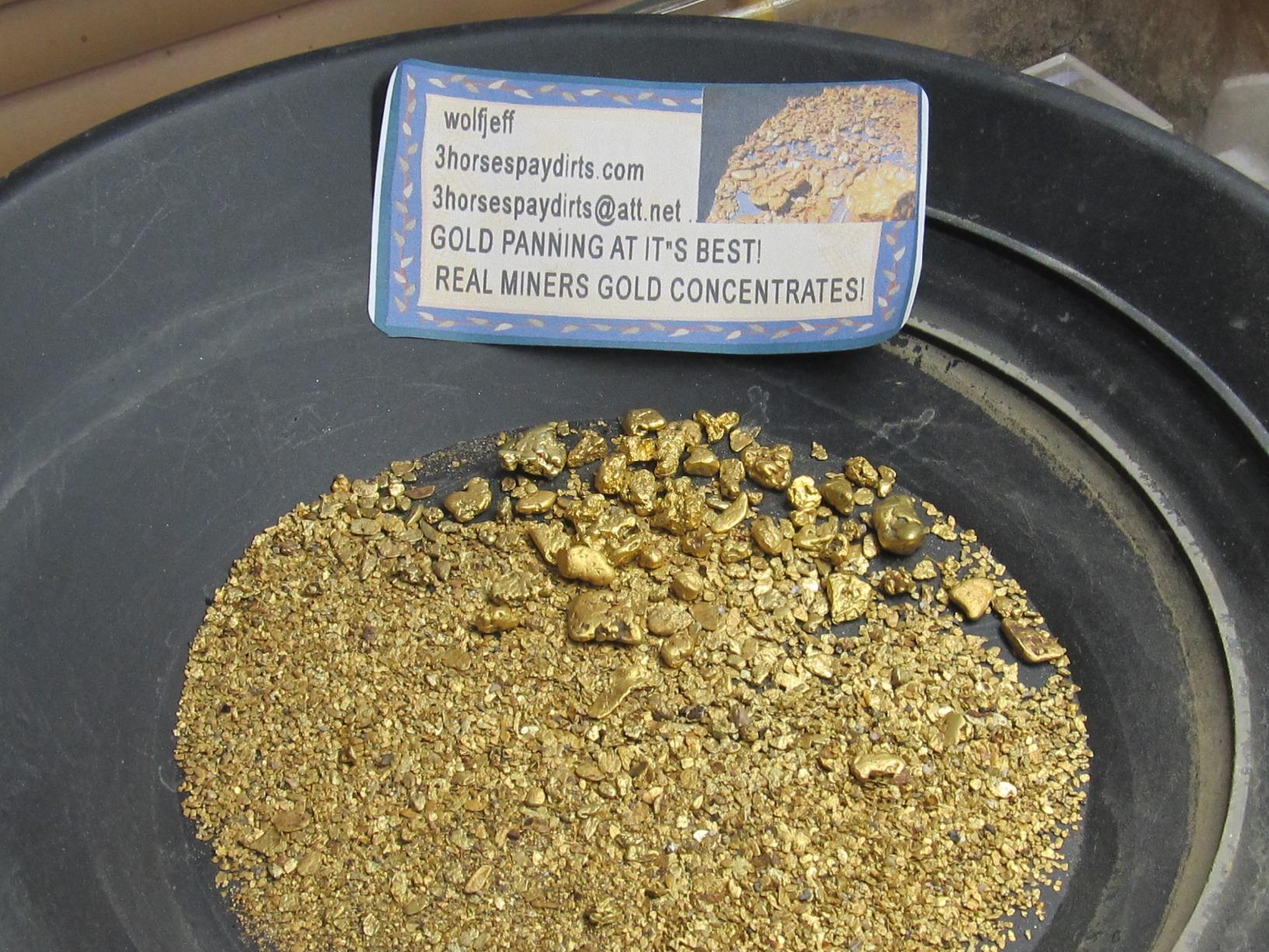 SE 14 Inch Gold Panning Pan - Three Riffles for Easier Mining and Prospecting (Single Black) customer photo 2