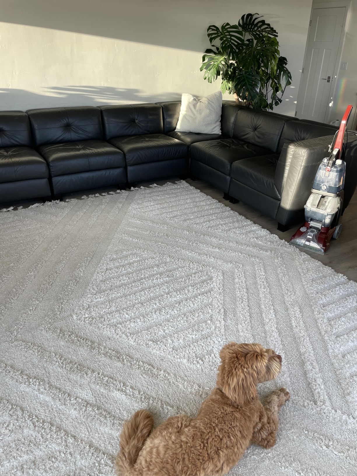 Hoover PowerScrub Deluxe Carpet Cleaner Machine, Deep Cleaning Carpet Shampooer Machine, SpinScrub Brushes, HeatForce Drying, Pet & Upholstery Tools, FH50150NC customer photo 1