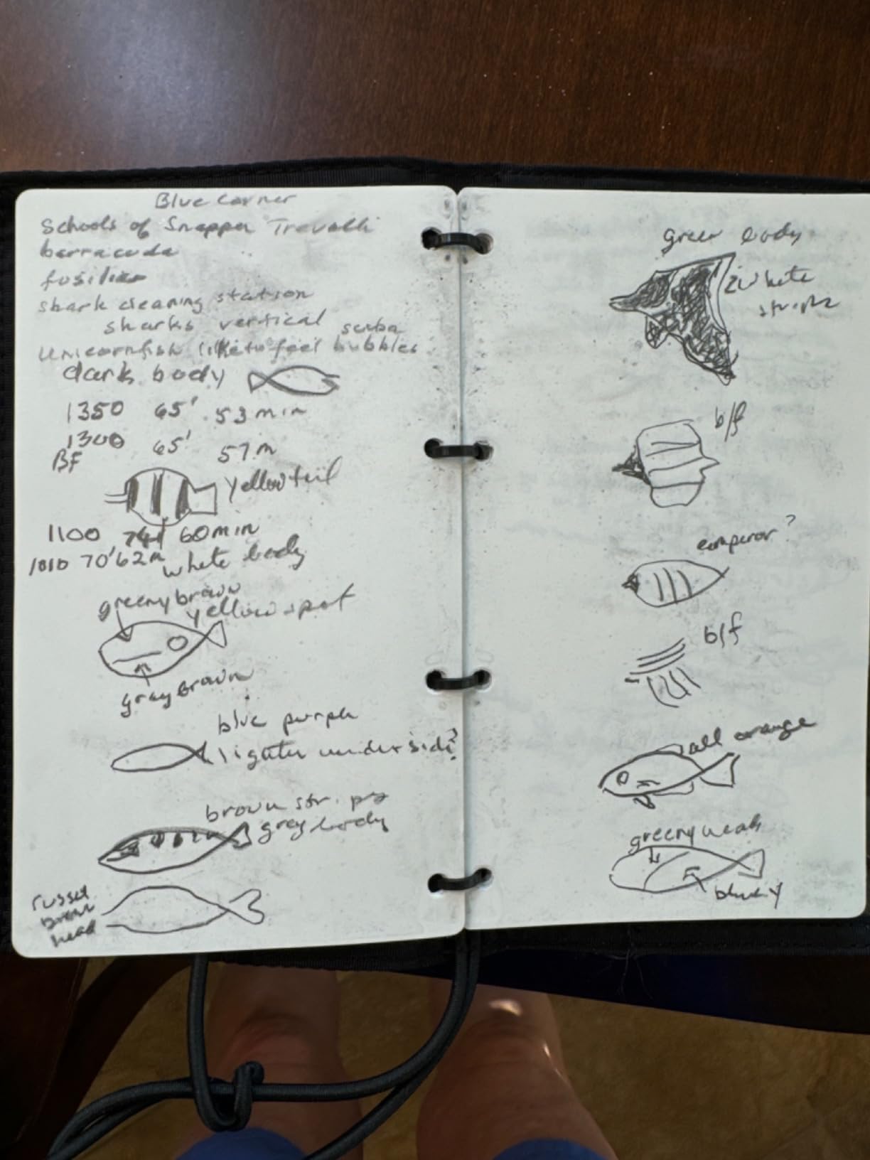 SCUBAPRO WetNotes Underwater Notebook customer photo 1