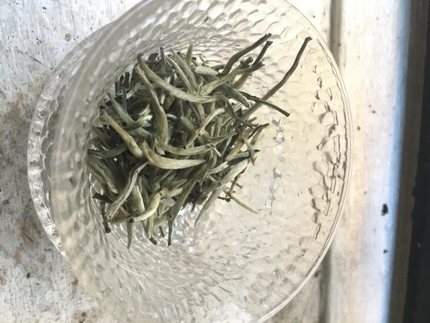 Tealyra - Premium White Silver Needle Tea - Bai Hao Yinzhen - Organically Grown in Fujian China - Superior Chinese Silver Tip White Tea - Loose Leaf Tea - Caffeine Level Low - 110g (4-ounce) customer photo 2