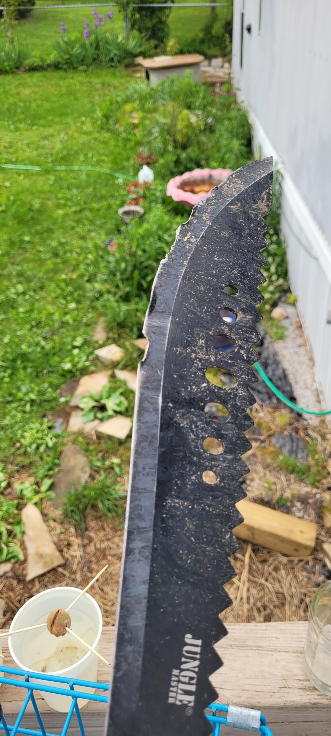 Jungle Master Machete with Reverse Serrations - Black Stainless Steel Blade w/ Reverse Serrations, Full Tang, Cord Wrapped Handle, Nylon Sheath, Outdoor, Hunt, Camp, Hike, Survival, JM-031B 21-Inch Overall customer photo 1