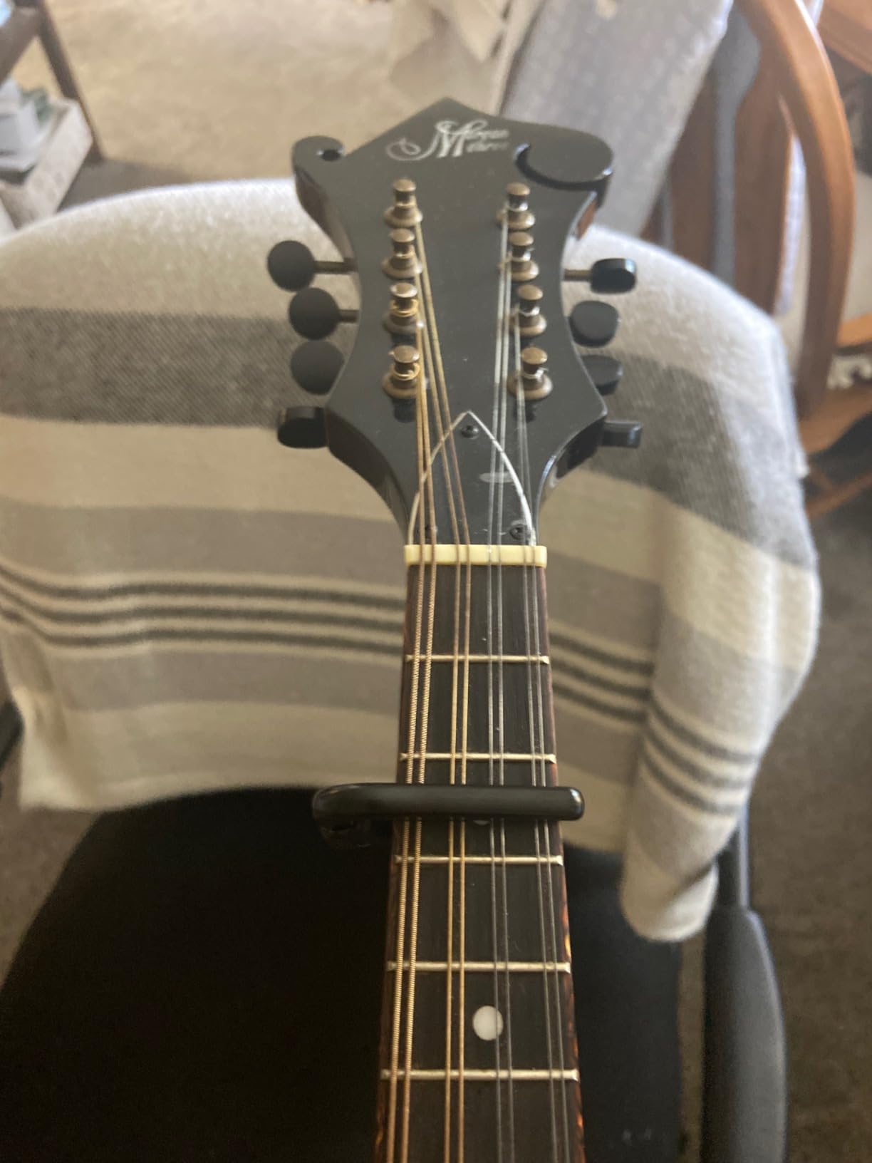 D'Addario NS Banjo Capo, Mandolin Capo - For 4 or 5 String Banjos and Mandolins - Micrometer Tension Adjustment for Buzz-Free, In-Tune Performance - Black customer photo 1