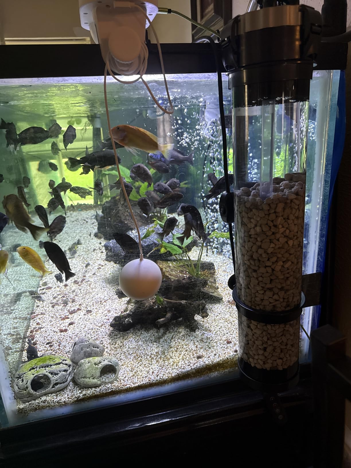 AQUATOP MR-20 Media Reactor - 95 GPH Up-Flow Filtration System customer photo 2