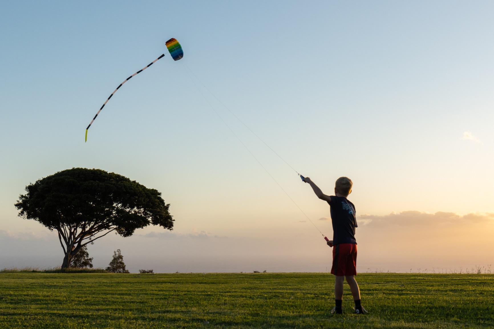 HQ Kites Symphony Beach III 1.3 Stunt Kite 51 Inch Dual - Line Sport Kite customer photo 1