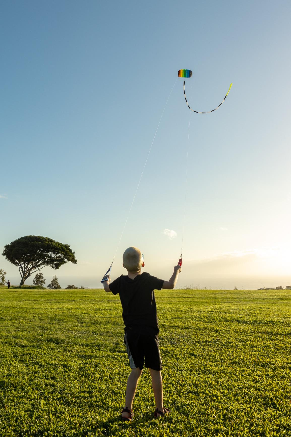 HQ Kites Symphony Beach III 1.3 Stunt Kite 51 Inch Dual - Line Sport Kite customer photo 2