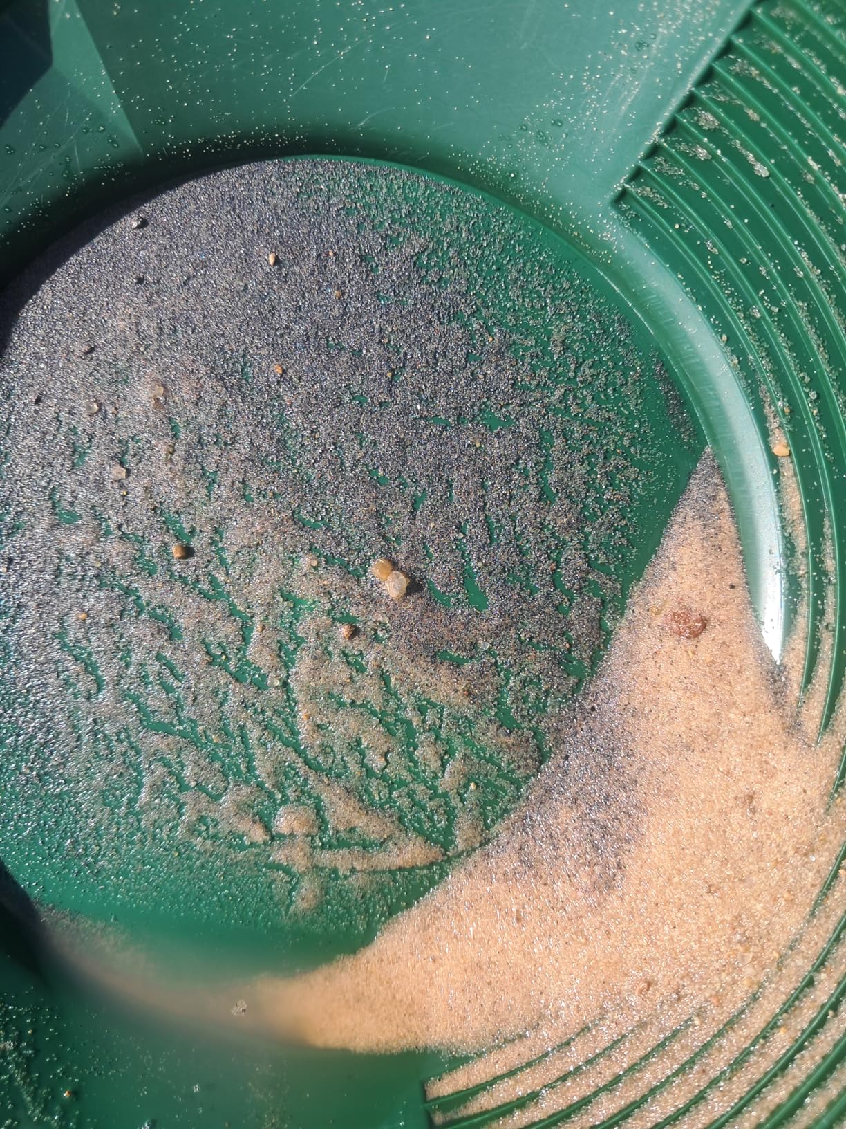 SE 12 Inch Gold Panning Pan - Dual Riffles for Easier Mining and Prospecting, Blue customer photo 1