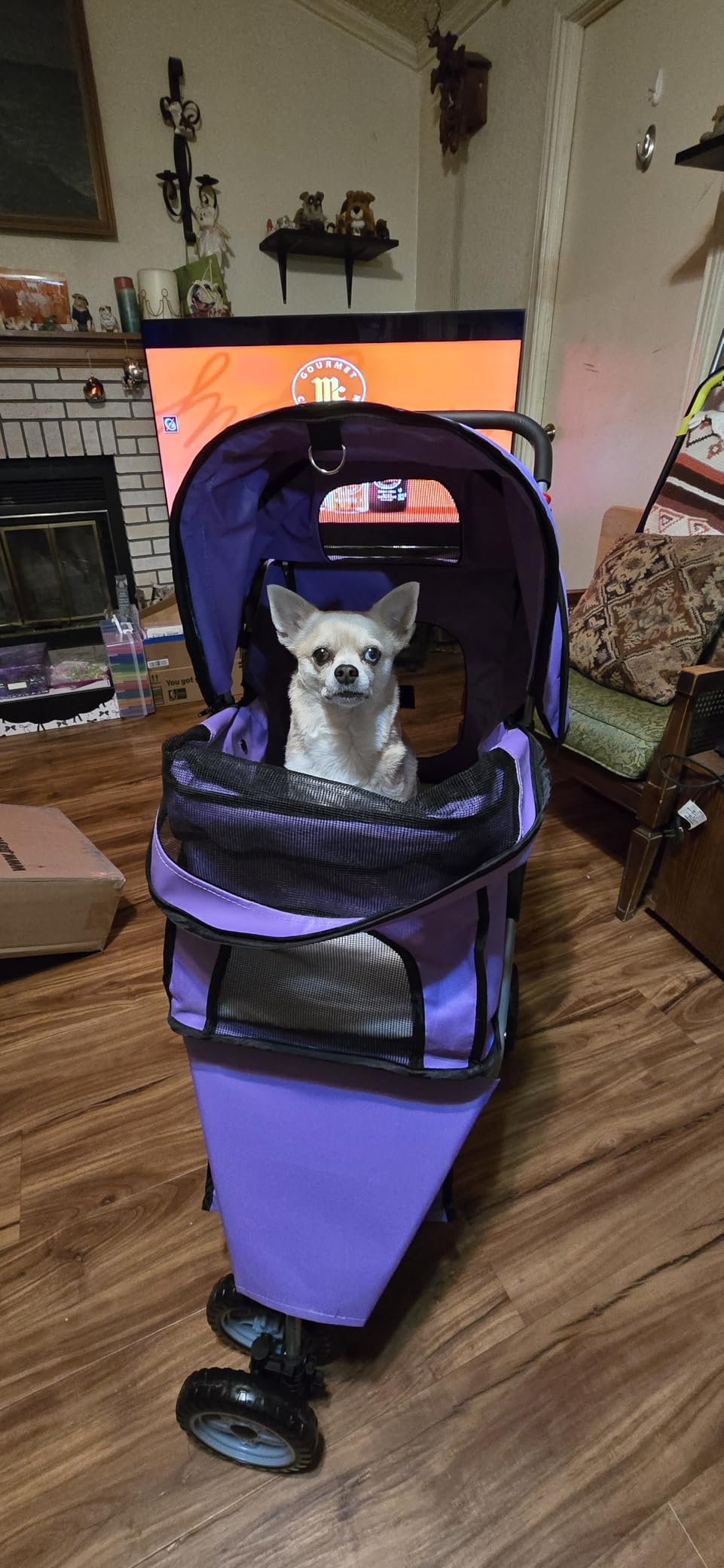 BestPet | 3-Wheel Pet Stroller | Dog and Cat Stroller | Breathable Mesh | Lightweight Travel Carrier | Waterproof & Foldable Design | Storage Basket | Black | for Daily Walks & Outdoor Use customer photo 1