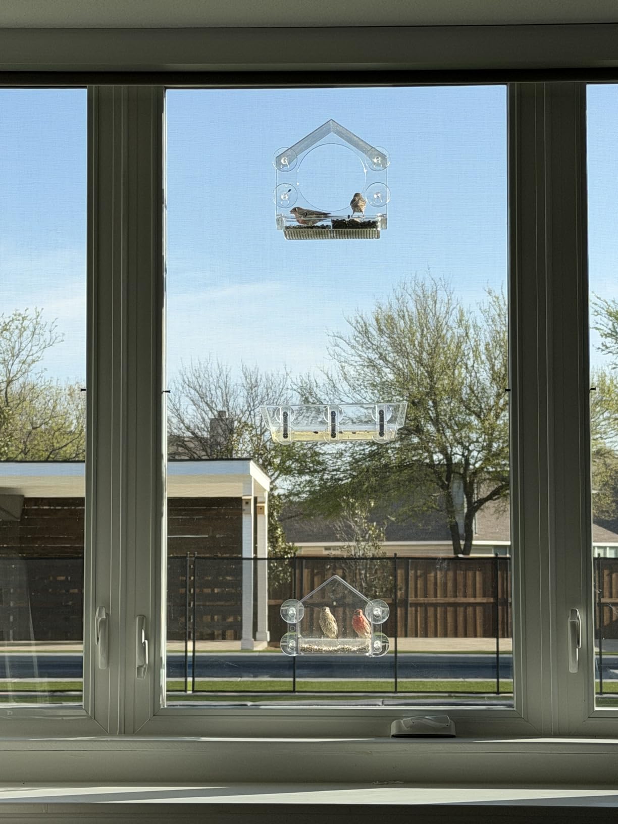 Nature Anywhere Window Bird Feeder - Weather Proof Transparent Acrylic Bird Feeders for Outdoors - Enhanced Suction Grip, Bird Watching for Cats, Easy-to-Clean, Outdoor Birdhouse Feeder (1 Unit) customer photo 1