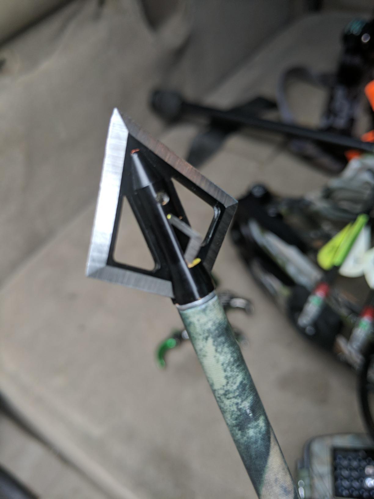 Magnus 4 Blade Hornet Broadhead (3-Pack) customer photo 2