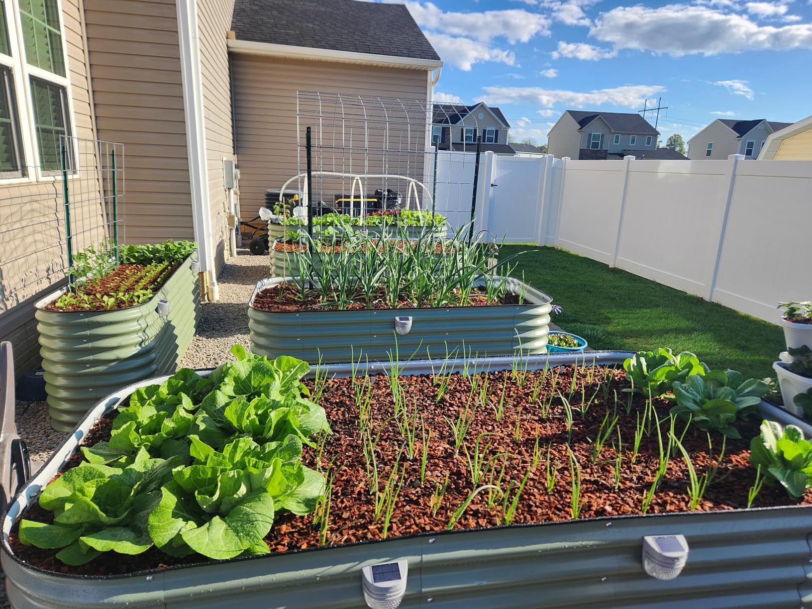 Seeding Square - Patented Seed and Seedling Spacer Tool for Bigger Harvests, Organized Plants & Fewer Weeds customer photo 1