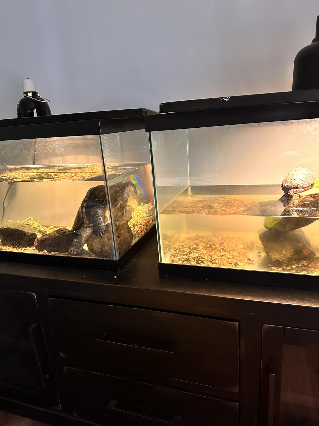 Marineland Magniflow Canister Filter for Aquariums - Easy Maintenance customer photo 2
