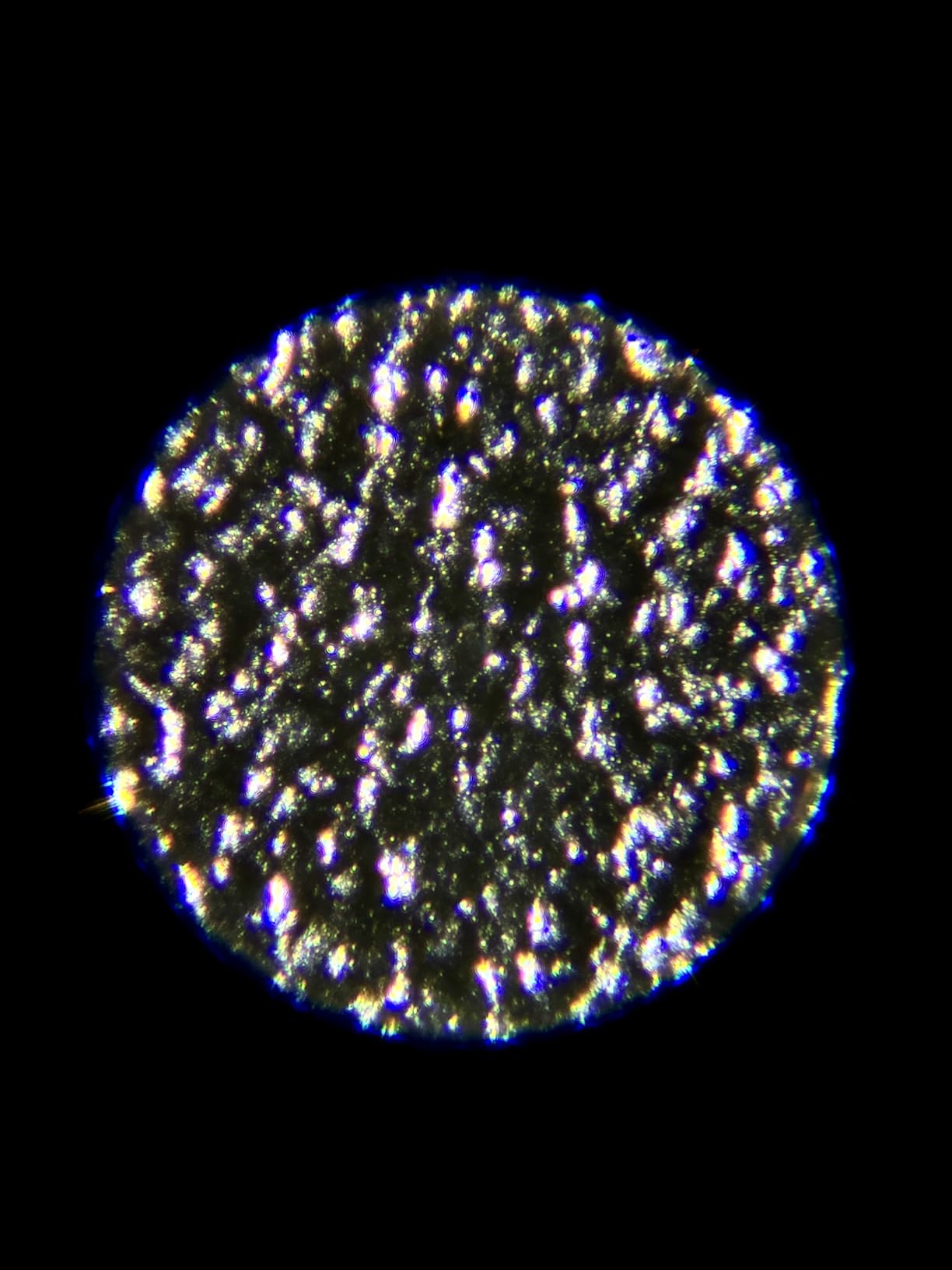 Carson MicroFlip 100x-250x, LED UV Pocket Microscope with Smartphone Clip, STEM Education (MP-250) customer photo 2
