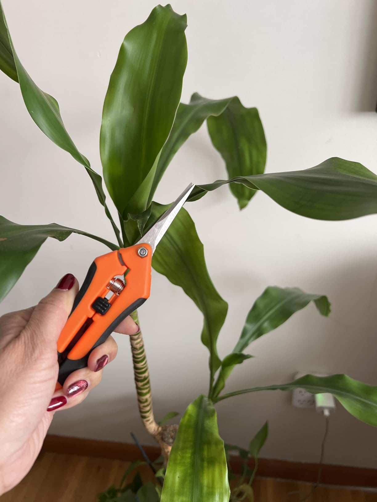 VIVOSUN 6.5 Inch Gardening Scissors Hand Pruner Pruning Shear with Straight Stainless Steel Blades Orange 1-Pack customer photo 1