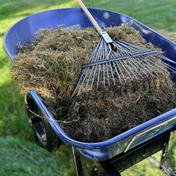 Sun Joe Electric Dethatcher & Scarifier, Corded, with 8-Gal Bag, 12.6-Inch Cutting Width, 12-Amp Motor - Heavy-Duty Yard Trimmer for Lawn Maintenance, AJ801E customer photo 2