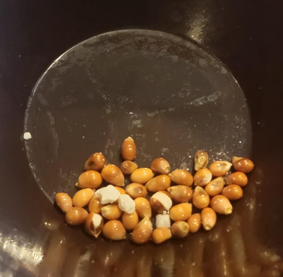 Cuisinart Microwave Popcorn Maker customer photo 2