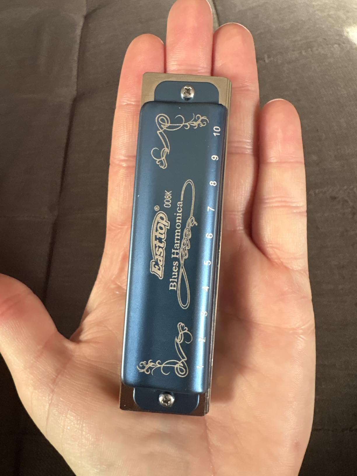East top Harmonica Key of C, 10 Holes 008K Diatonic Mouth Organ with Blue Case customer photo 1