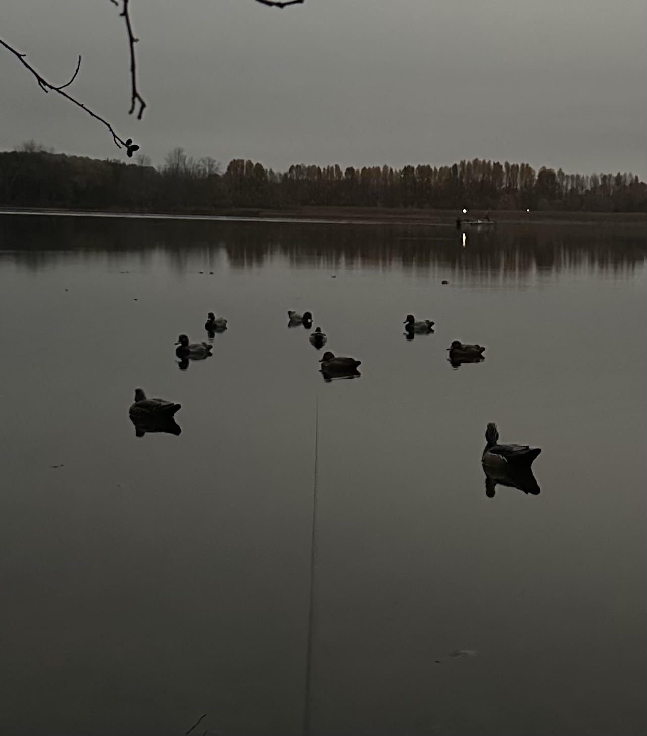 Motion Ducks Ultimate Decoy Spreader and Jerk Rig customer photo 2