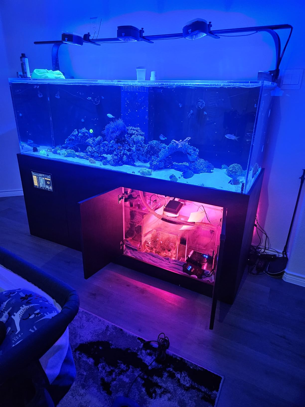 ACKE LED Grow Lights Full Spectrum,Plant Lights,Growing Lamps 12W for Indoor Plants,Hydropoincs customer photo 1