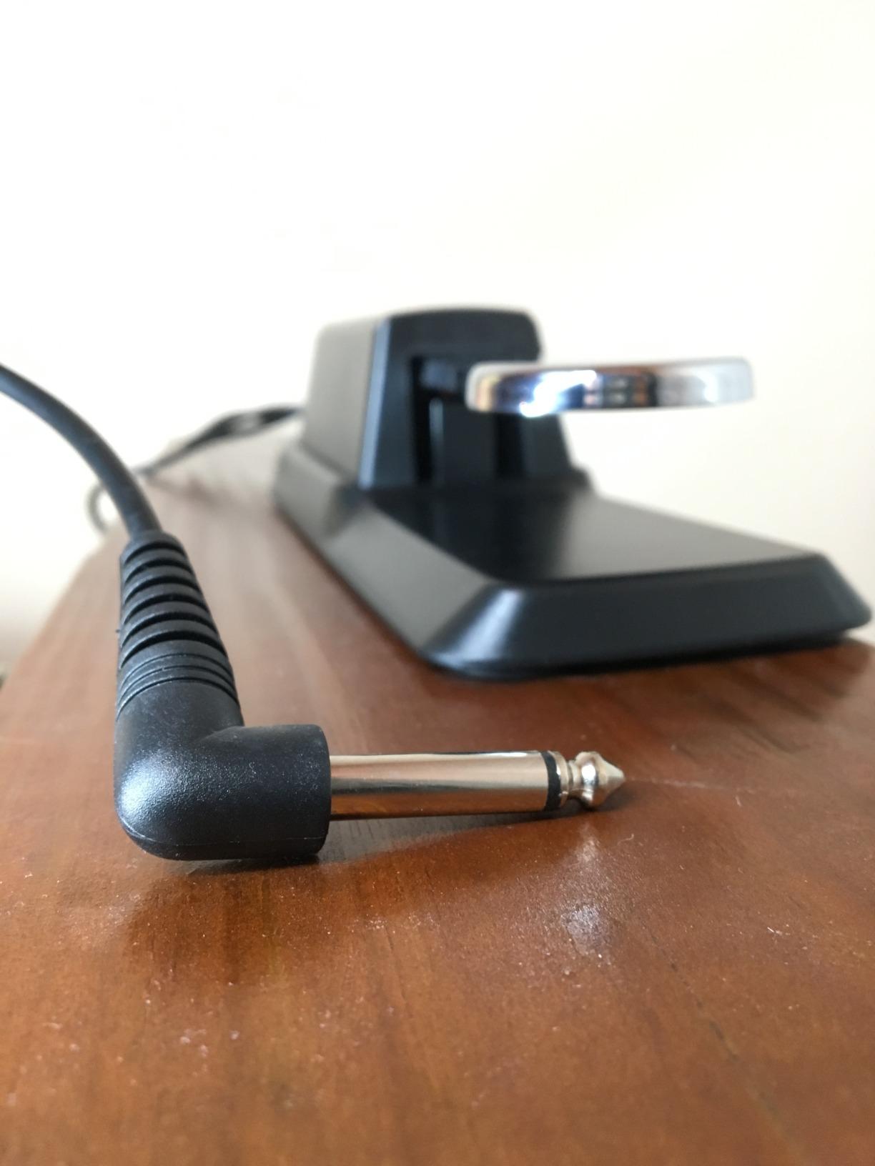 Donner DSP-001 Sustain Pedal for Keyboard, Universal Piano Pedal with Polarity Switch for Digital Piano/Piano Keyboard/MIDI Keyboard Synthesizer, 1/4'' (6.35mm) Input Plug, 63'' (1.6m) Cable customer photo 1