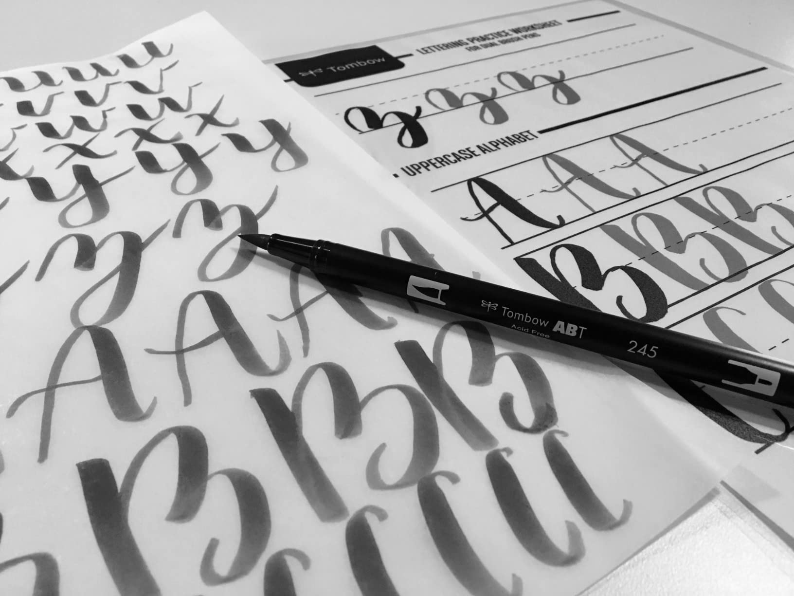 Tombow 56190 Beginner Lettering Set - Includes Essential Tools to Start Hand Lettering customer photo 1