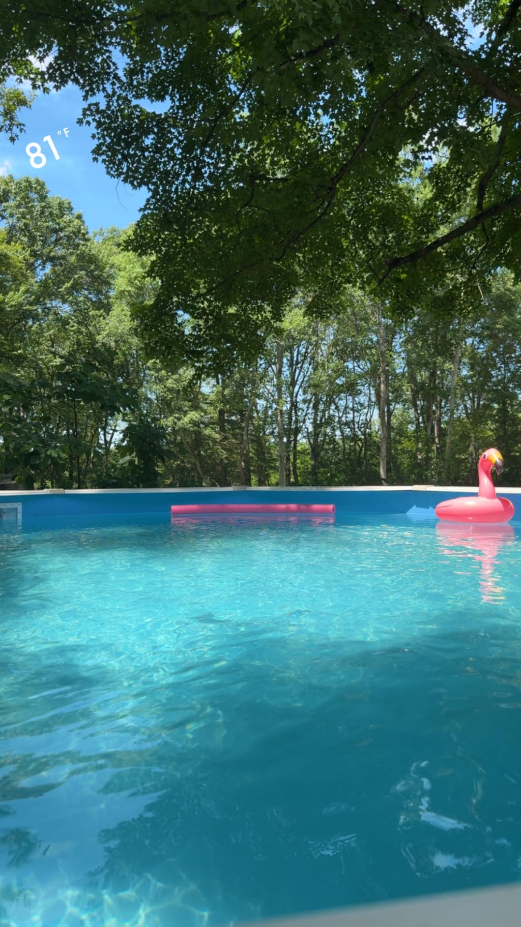 Aquarian Steel-Frame Above-Ground Pool Kit w/ Pump & Leaf Skimmer, Phoenix, 18' customer photo 1