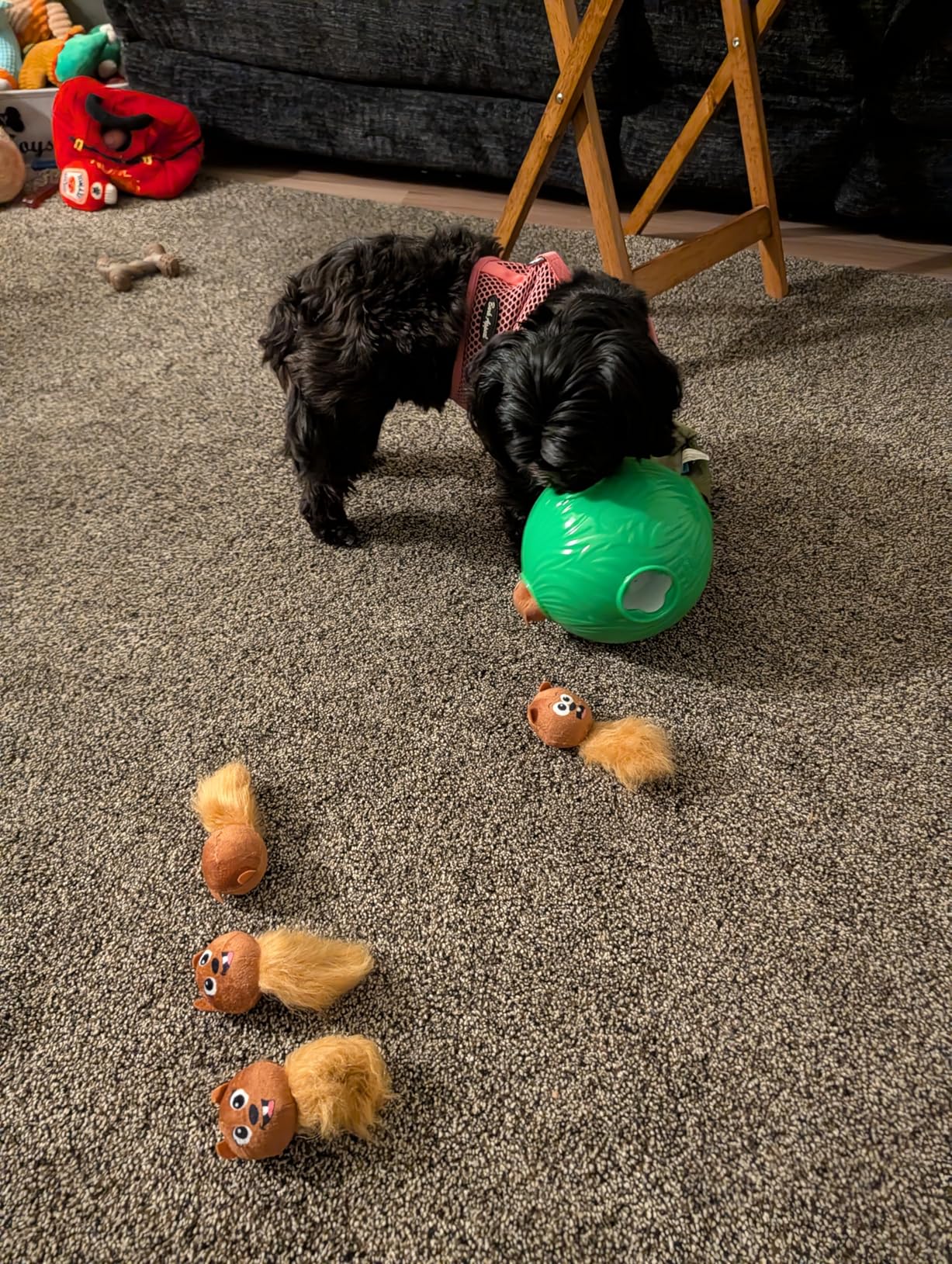 Outward Hound by Nina Ottosson Dog Brick - Interactive Treat Puzzle Enrichment Toy, Level 2 Intermediate customer photo 2